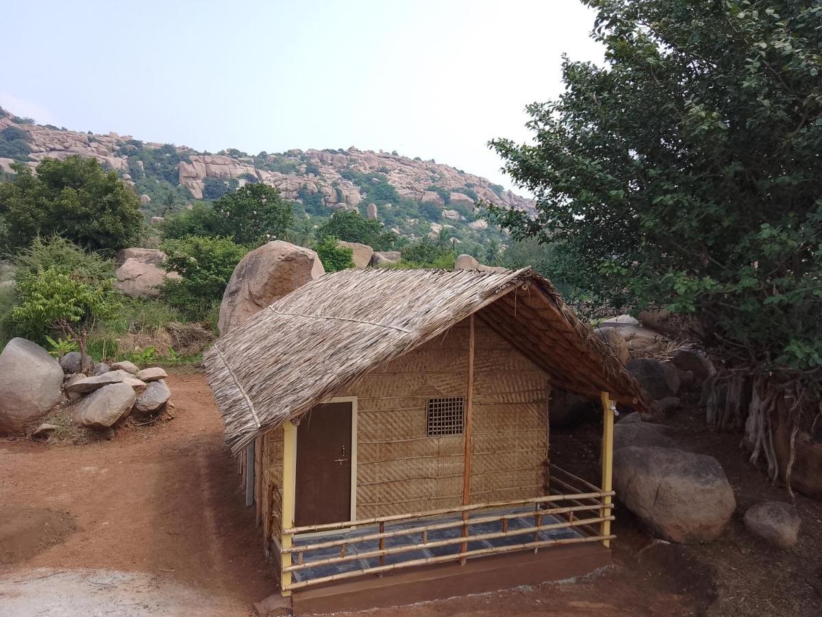 Monkey Paradise Hampi Εξωτερικό φωτογραφία