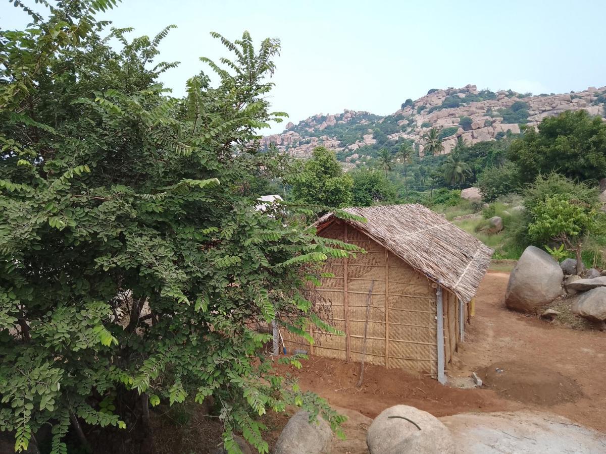 Monkey Paradise Hampi Εξωτερικό φωτογραφία