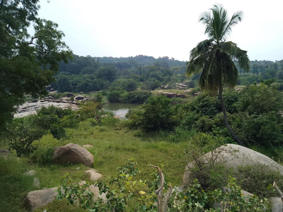 Monkey Paradise Hampi Εξωτερικό φωτογραφία