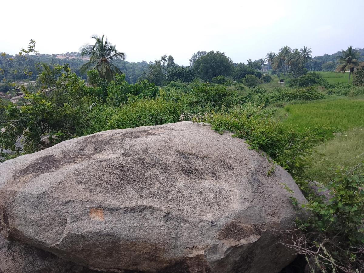 Monkey Paradise Hampi Εξωτερικό φωτογραφία