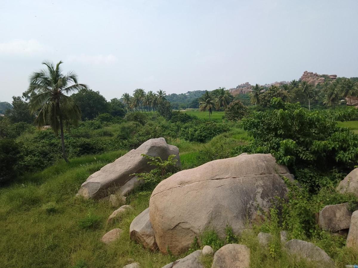 Monkey Paradise Hampi Εξωτερικό φωτογραφία