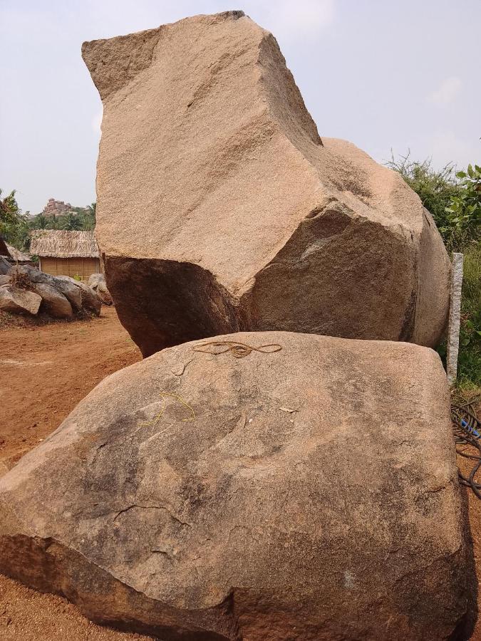 Monkey Paradise Hampi Εξωτερικό φωτογραφία