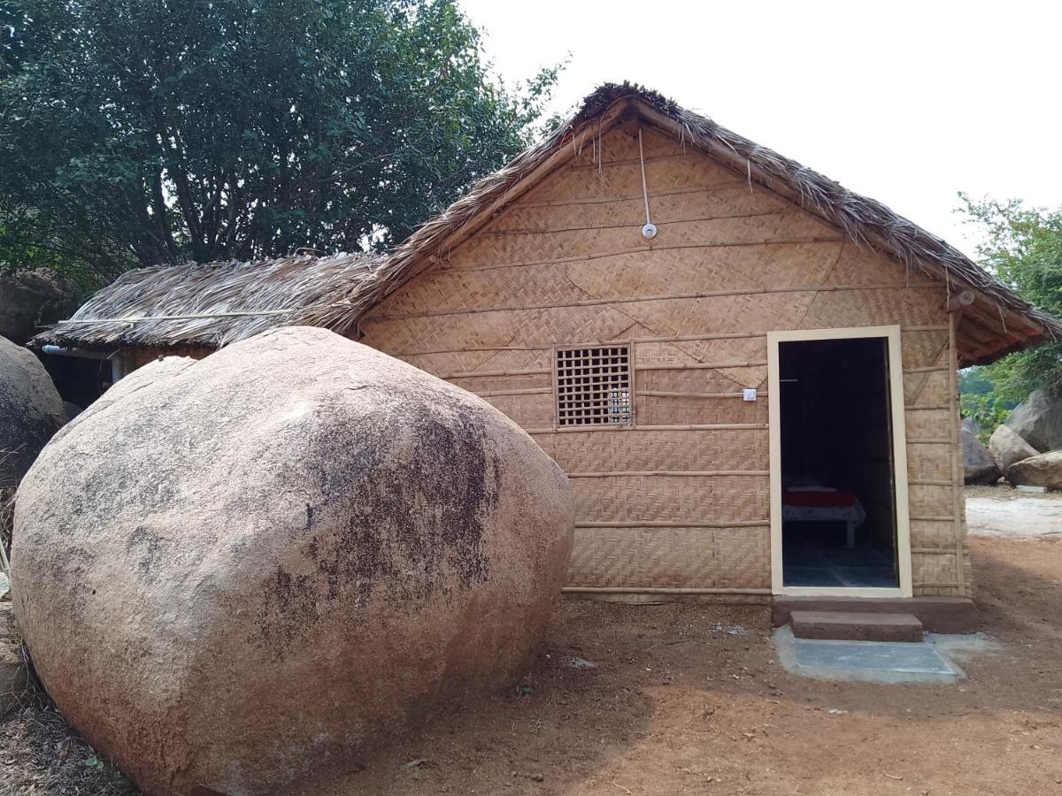 Monkey Paradise Hampi Εξωτερικό φωτογραφία