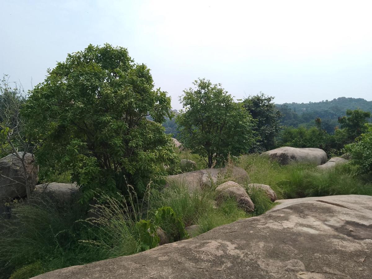 Monkey Paradise Hampi Εξωτερικό φωτογραφία